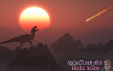 العلماء يكشفون عن أدلة على ما قد يكون أول انقراض جماعي للحيوانات على الأرض!