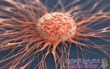 دقائق نانوية متطورة تحرم الخلايا السرطانية من الحماية من العلاج المناعي