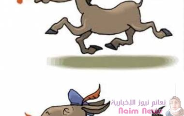 قصة ساخرة للكاتب التركي / عزيز نيسين