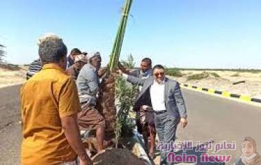 أمين عام محلي أبين الحامد ومدير عام صندوق النظافة وادي يدشنان مشروع غرس الف نخلة في مديرتي زنجبار وخنفر