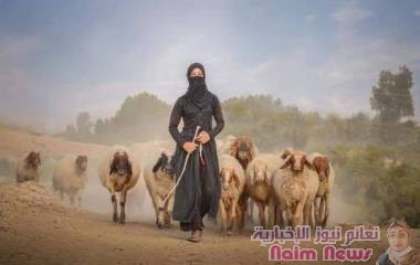 قصة ابن الملك