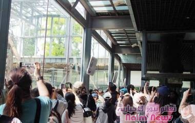 إنها حقيقية.. حديقة حيوانات صينية ترد على مزاعم ظهور بشر يرتدون ملابس دببة