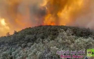 السيطرة عل حريق غابة مغراوة بإقليم تازة المغربي بنسبة 90% والمساحة المتضررة 790 هكتارا (فيديو)