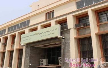 خبير اقتصادي يكشف عن جدوى مزادات البنك المركزي لبيع الدولار