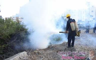 محاربة البعوض نحو بيئة صحية وآمنة عنوان حملة أطلقتها منظمة مرايا المستقبل لمكافحة البعوض في مدينة عدن